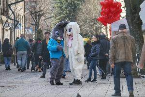 Враца – Ден на влюбените
