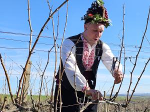 Село Свирачи, Ивайловградско - празнуване на Трифон Зарезан