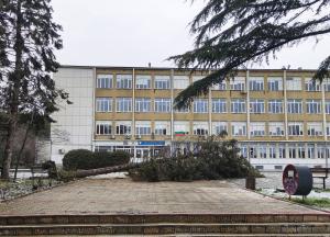 Варна - Паднало дърво в училище