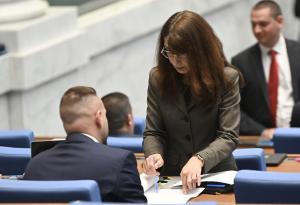 София - Заседание на Народното събрание