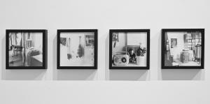 София - Фотоизложба Градината на пчелите - аналогова фотография- Красимир Костов