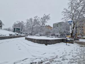 София – Зима и пътна обстановка