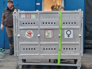 София - Летище - Аржентинските мечета Гордо и Флоренция