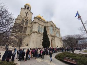 Варна - Огромна опашка за безплатни дръвчета