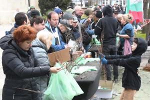 Варна - Огромна опашка за безплатни дръвчета