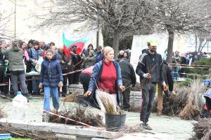 Варна - Огромна опашка за безплатни дръвчета