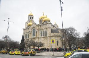 Варна - Огромна опашка за безплатни дръвчета