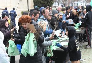Варна - Огромна опашка за безплатни дръвчета