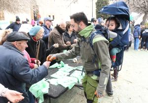 Варна - Огромна опашка за безплатни дръвчета