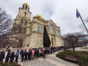 Варна - Огромна опашка за безплатни дръвчета