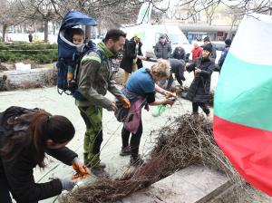 Варна - Огромна опашка за безплатни дръвчета