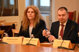 София - <br />Извънредно заседание на комисията по енергетика в Народното събрание
