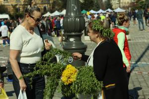 София - Полумаратон в центъра на столицата