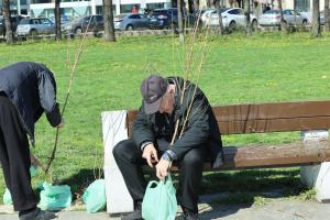 София - Гората.бг подарява 65 000 дръвчета,храсти и цветя