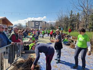 София - Гората.бг подарява 65 000 дръвчета,храсти и цветя