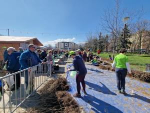 София - Гората.бг подарява 65 000 дръвчета,храсти и цветя