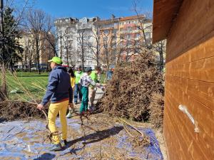 София - Гората.бг подарява 65 000 дръвчета,храсти и цветя