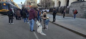 София - Протест на Правосъдие за всеки