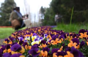 Варна - Пролетна феерия в Еко парка