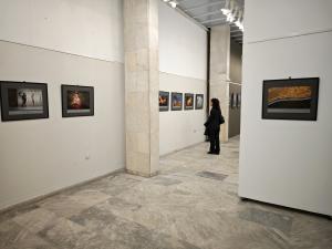 Пътуващата фотоизложба 'Избрано' от 12-ия Международен фотосалон 'Пловдив 2025' гостува в Плевен