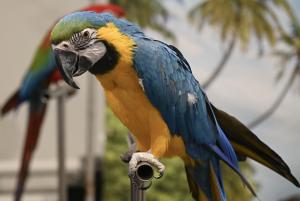 София - Зоо изложение SOFIA ZOO EXPO