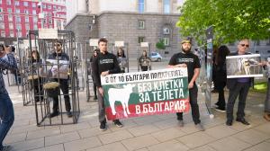 София - Протест срещу отглеждането на телета в клетки