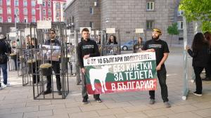 София - Протест срещу отглеждането на телета в клетки