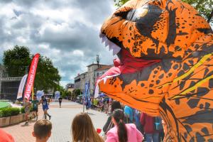Варна - Маратон Варна 2026