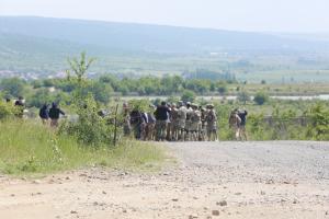 Ново село - Военно учение