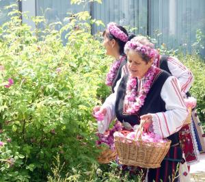 Казанлък - Ритуалът 'Розоварене' в Музея на розата