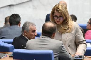 София - Заседание на Народното събрание