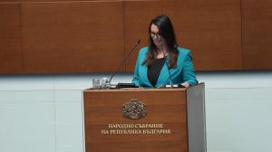 София - Заседание на Народното събрание