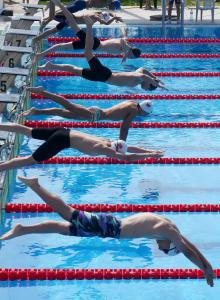 Варна - международен плувен турнир Black Sea Cup<br />
<br />