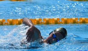 Варна - международен плувен турнир Black Sea Cup<br />
<br />