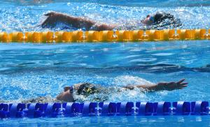 Варна - международен плувен турнир Black Sea Cup<br />
<br />