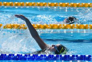 Варна - международен плувен турнир Black Sea Cup<br />
<br />