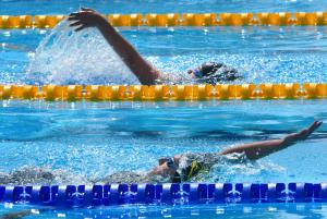 Варна - международен плувен турнир Black Sea Cup<br />
<br />