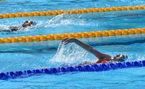 Варна - международен плувен турнир Black Sea Cup<br />
<br />