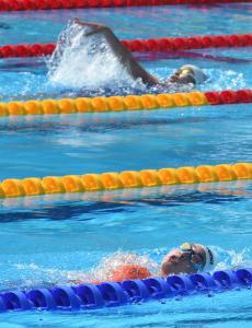 Варна - международен плувен турнир Black Sea Cup<br />
<br />