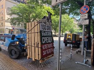 София - Петиция на организация за защита на животните
