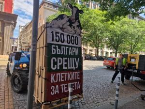 София - Петиция на организация за защита на животните
