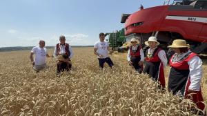 В житния блок на село Горски извор влезе първият комбайн за реколта 2026