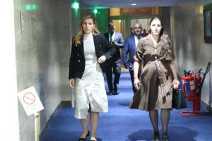 София - Парламентарен контрол
