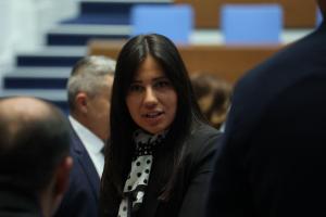 София - Заседание на Народното събрание