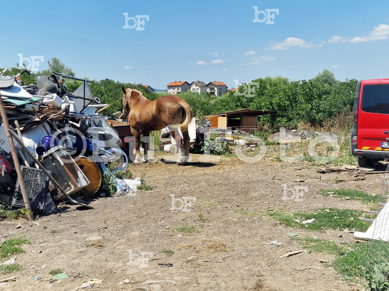 София - кв. Филиповци - Акция за разрушаване на незаконни постройки