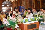 Видин - Хавайска икона на Богородица