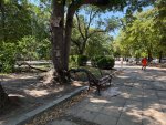 Паднал клон от дърво потроши пейка във Варна