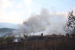 Пожар затвори главният път Е‑79 към Дупница, по-късно бе локализиран и движението възстановено