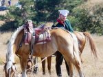 Хиляди българи почетоха 149-тата годишнина от Шипченската епопея