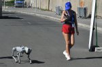 Борбата срещу наркотиците срещна митническо куче и куче робот